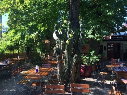 照片: El Coyote